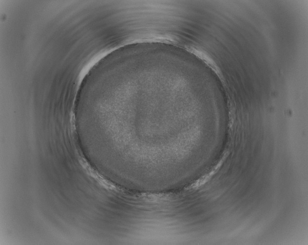 X0000074280928200609151848