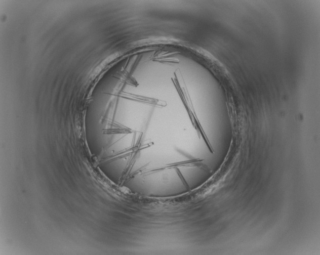 X0000074280929200609151848