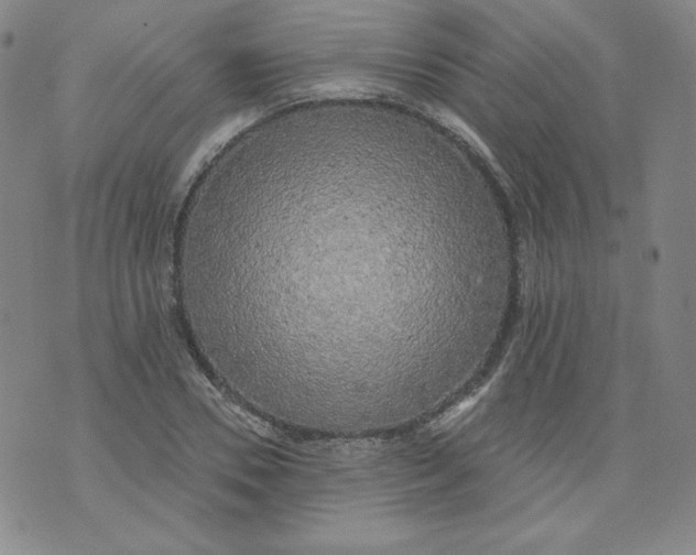 X0000074280930200609151848