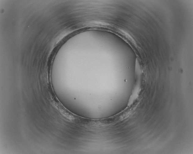 X0000074280931200609151848