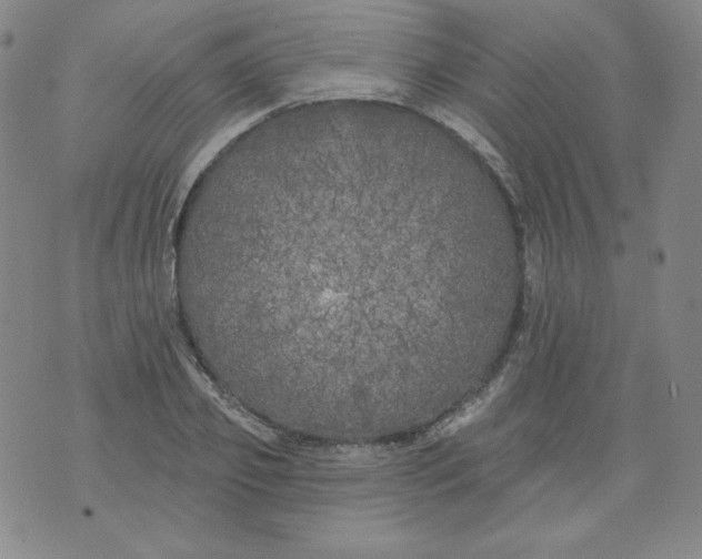 X0000074280933200609151848