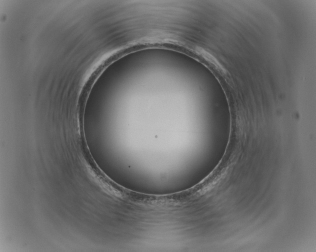 X0000074280934200609151848