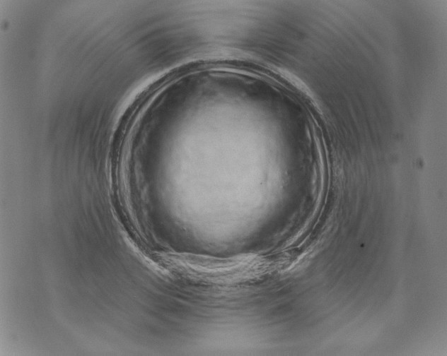 X0000074280935200609151848