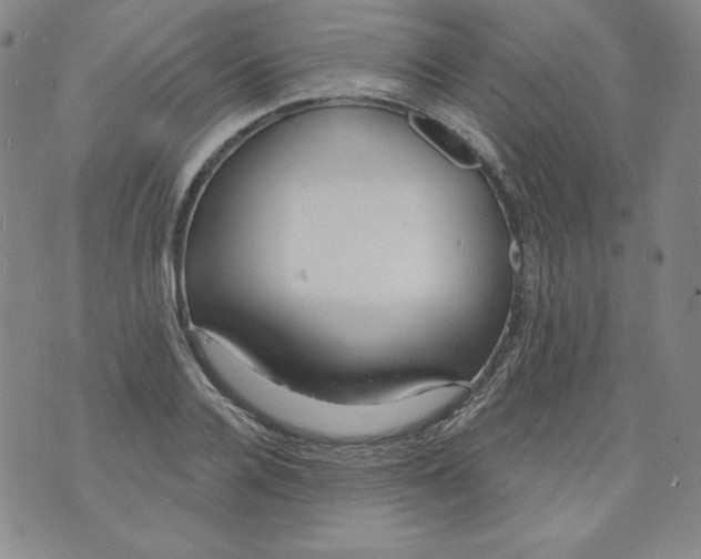 X0000074280936200609151848