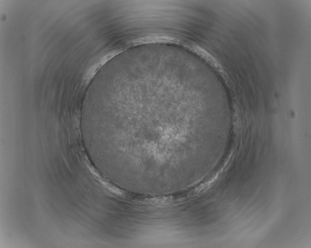 X0000074280937200609151848