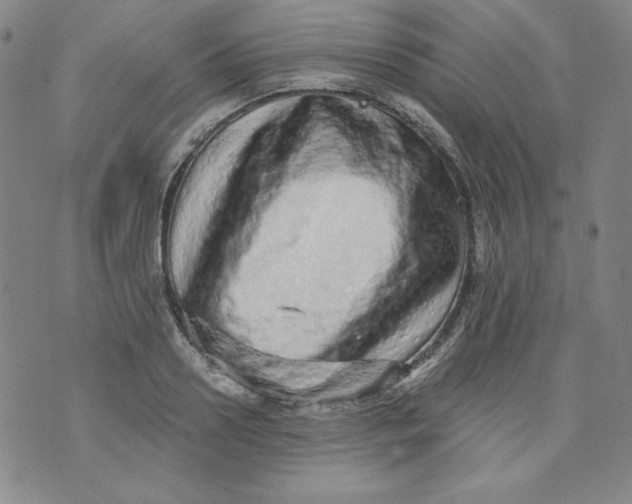 X0000074280938200609151848