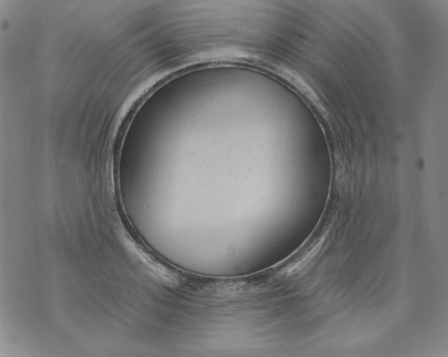 X0000074280939200609151848