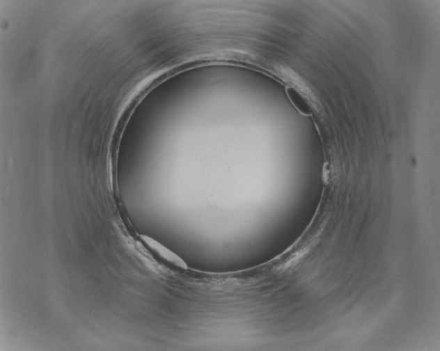 X0000074280940200609151848