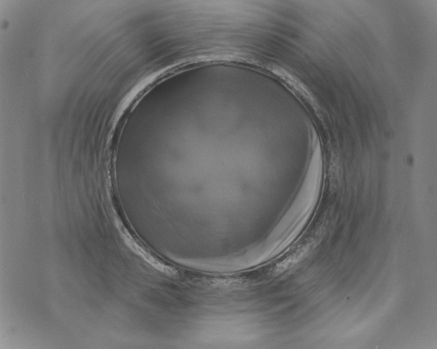 X0000074280941200609151848