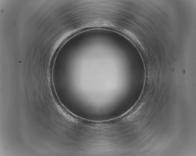 X0000074280942200609151848