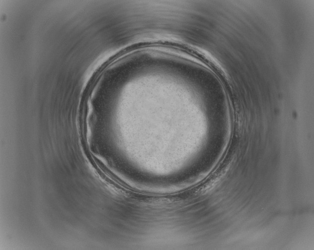 X0000074280943200609151848