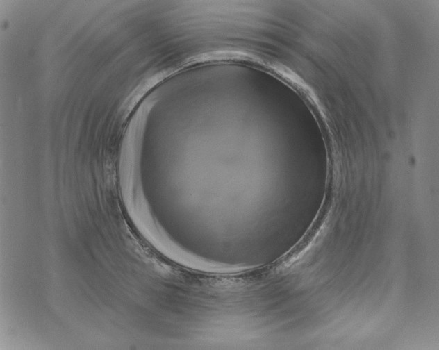 X0000074280945200609151848