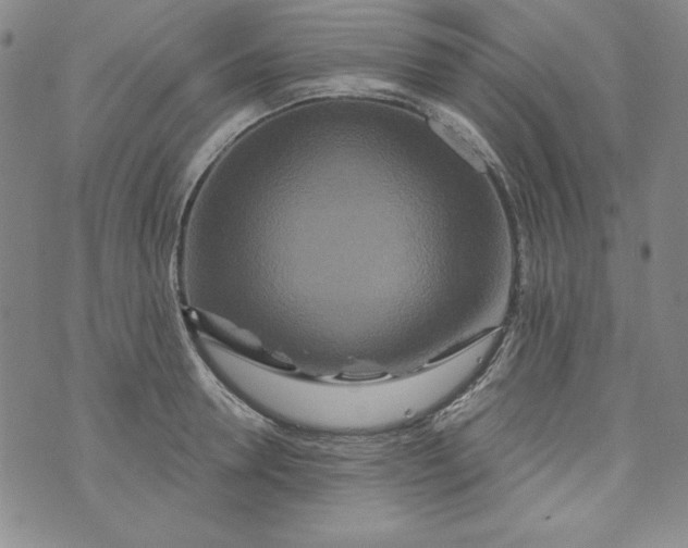 X0000074280946200609151848