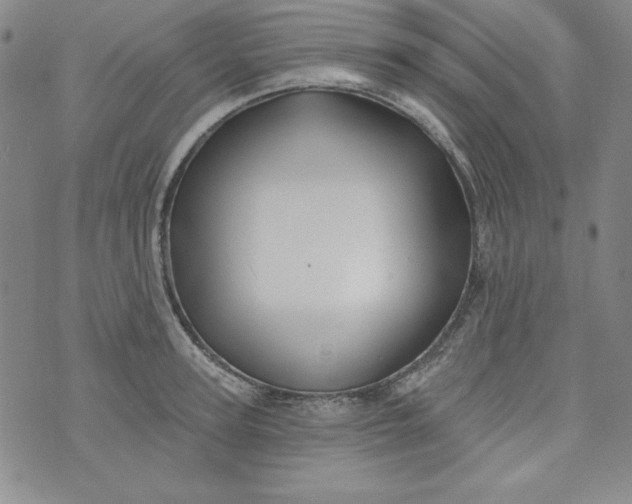 X0000074280947200609151848