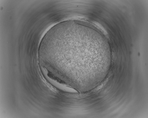 X0000074280948200609151848