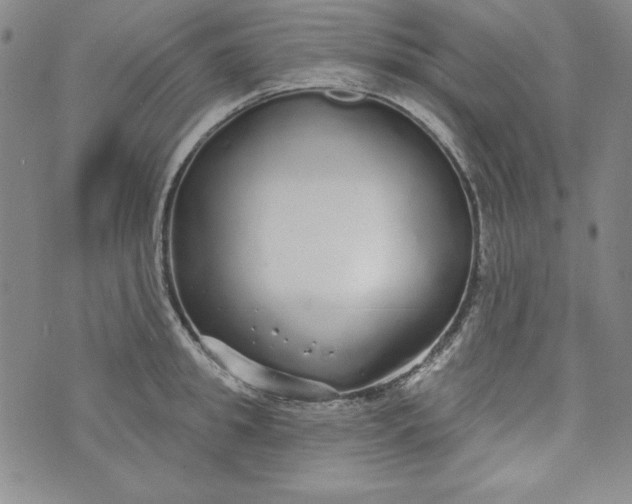 X0000074280949200609151848