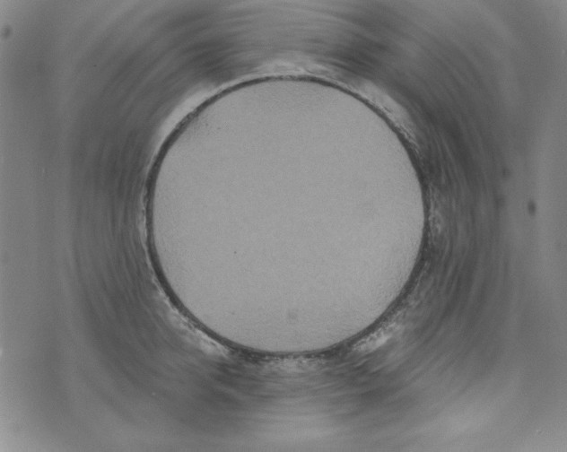 X0000074280950200609151848