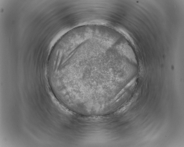 X0000074280952200609151848