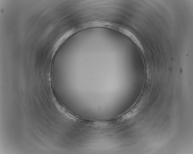 X0000074280954200609151848