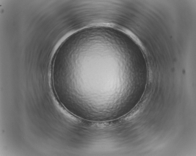 X0000074280955200609151848