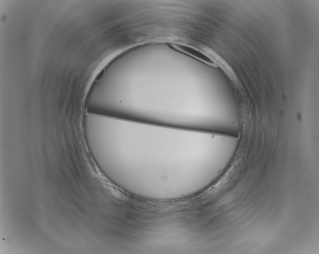 X0000074280956200609151848