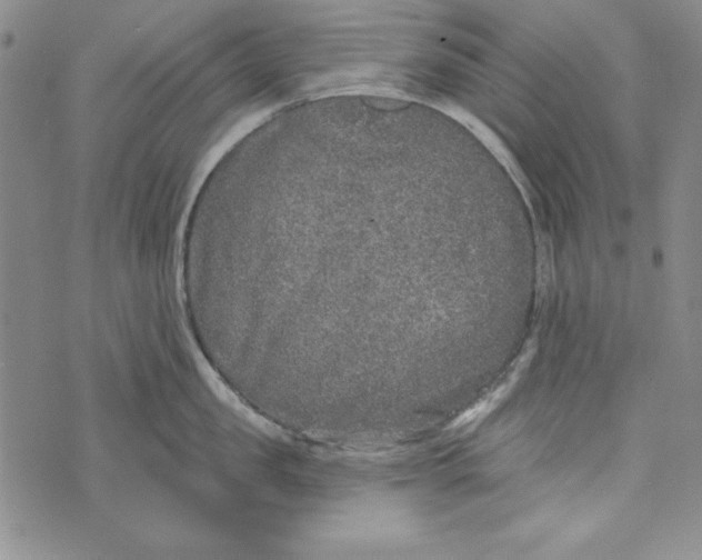 X0000074280957200609151849