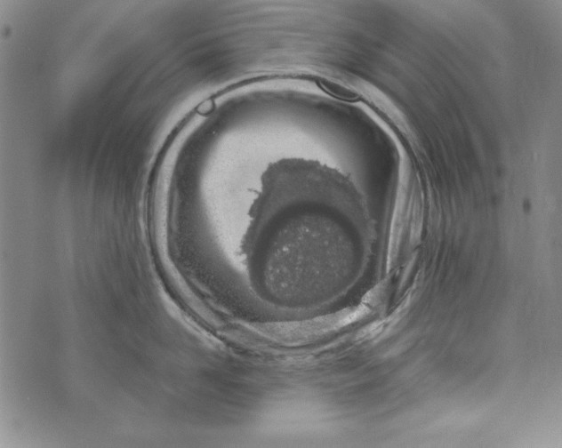 X0000074280958200609151849