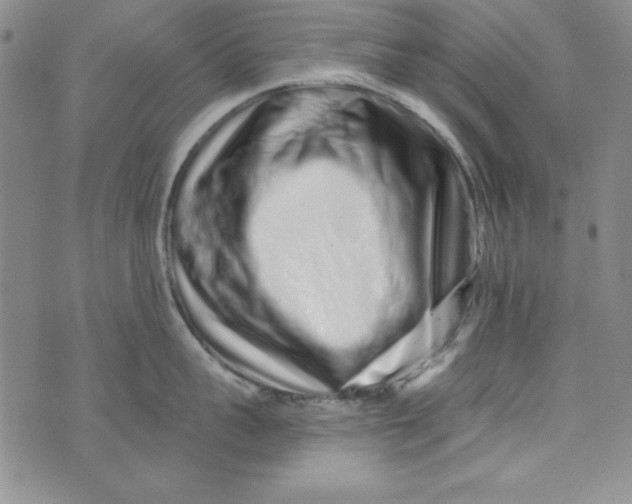 X0000074280959200609151849