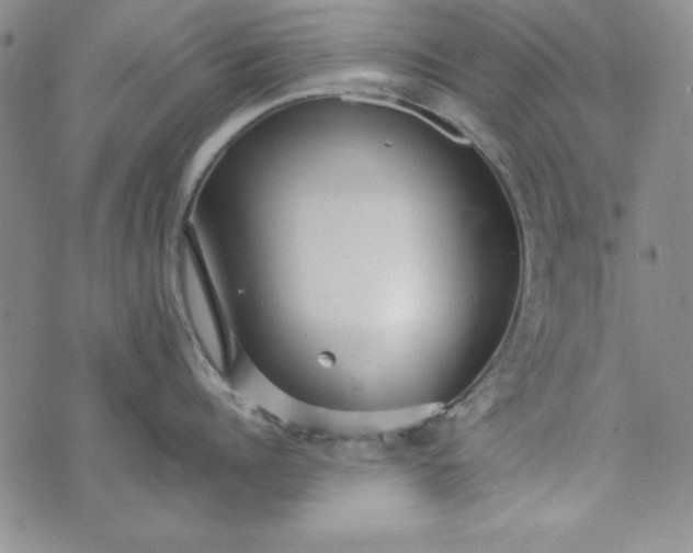 X0000074280960200609151849