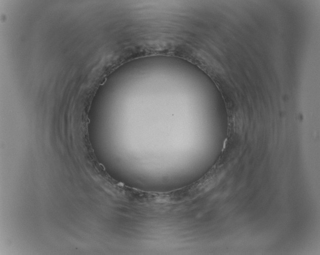 X0000074280961200609151848