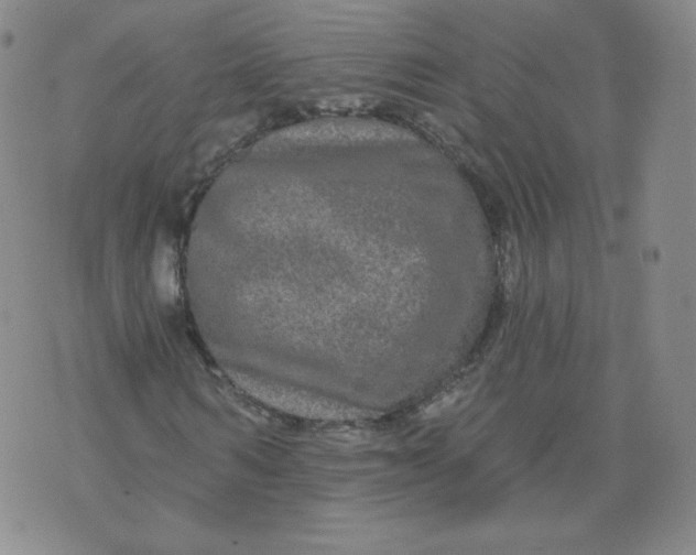 X0000074280962200609151848