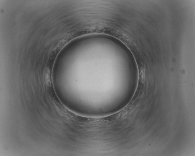 X0000074280963200609151848