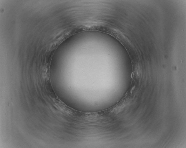 X0000074280964200609151848