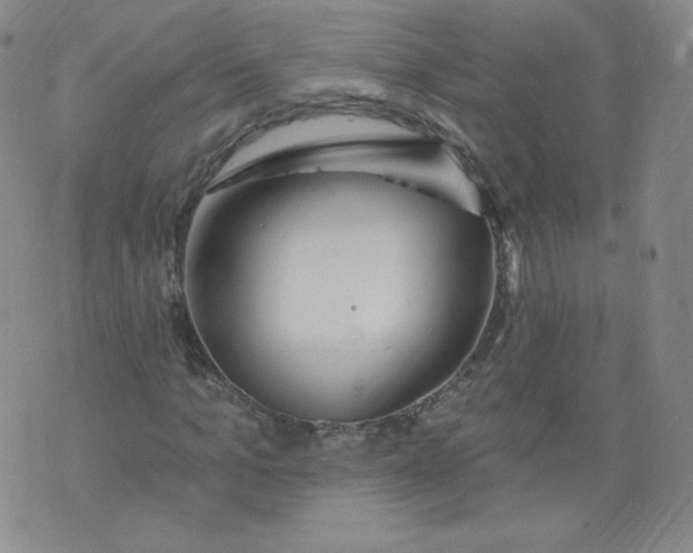 X0000074280965200609151848