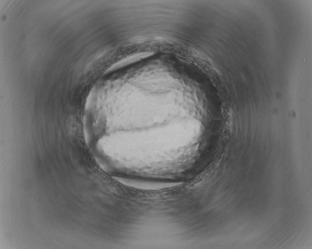 X0000074280966200609151848