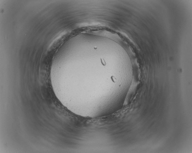 X0000074280967200609151848