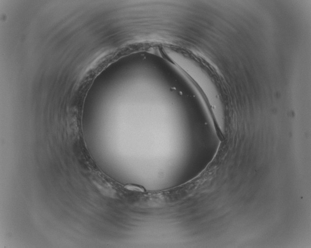 X0000074280968200609151848