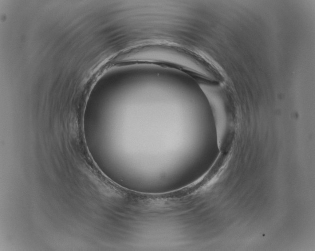 X0000074280969200609151848