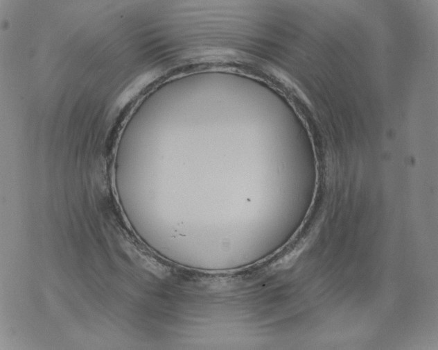 X0000074280970200609151848