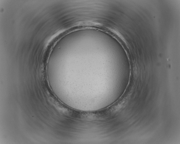 X0000074280971200609151848