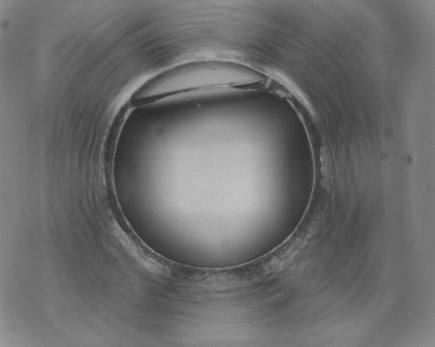 X0000074280972200609151848