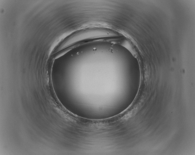 X0000074280973200609151848