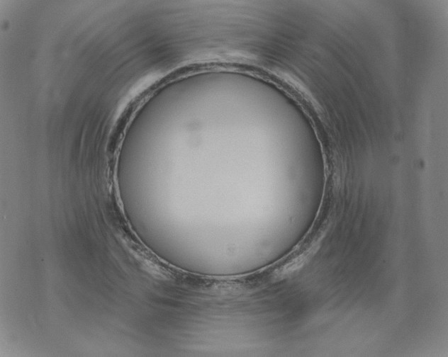 X0000074280974200609151848