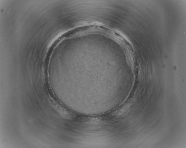 X0000074280975200609151848