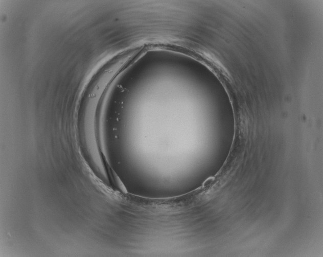 X0000074280976200609151848