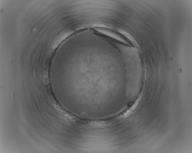 X0000074280977200609151848