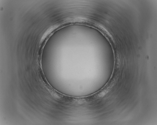 X0000074280978200609151848