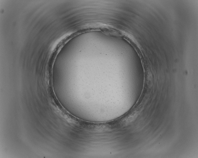 X0000074280979200609151848