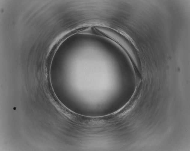 X0000074280981200609151847