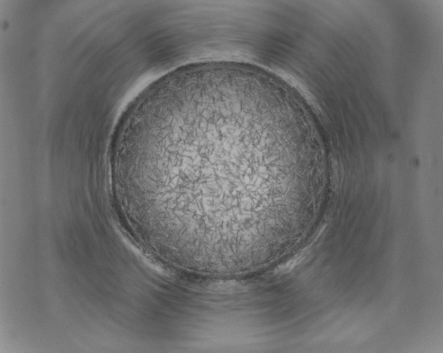 X0000074280982200609151847